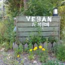 러빙헛 채식부페 이미지