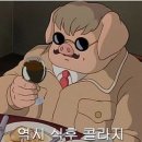 청년피자원종고강점 이미지