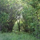 배미농장 이미지