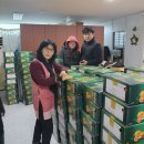 지전농장 이미지