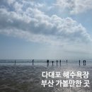 스타벅스 다대포비치점 | 해변공원 공영주차장 가격, 시티투어버스 지하철 탑승 / 스타벅스 다대포 비치점 / 부산 가볼만한 곳
