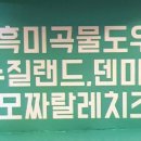 피자소그로 이미지