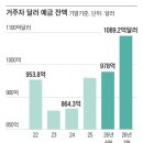지난달 달러 예금 1000억 달러 넘어 사상 최대 이미지