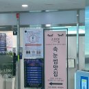 금천구청 속눈썹 연장 잘하는 곳 : 스마일부티끄 CC컬 후기