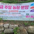 개금농장 네이버블로그