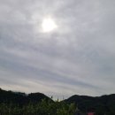 왕만두와 수영장 사고 이미지