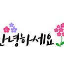 인셀덤 은평대리점 이미지