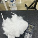 엄지애견미용 이미지