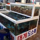 돌섬횟집 이미지