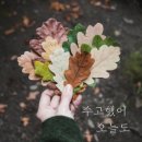 수고했어 오늘도 이미지