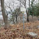 꿀꿀이목장 이미지