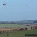 유에프오 이미지