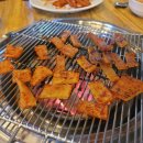 등대지기꼼장어 이미지