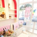 제일미용소 | 제주시고양이미용 장모묘 첫 미용 성공한 내돈내산 후기