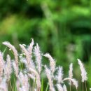 계천배수장 이미지