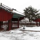 국립부여박물관 전시실 이미지