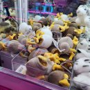 깡오락실 이미지