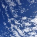 술펑취펑 이미지