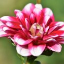 이브필라테스 부천점 이미지