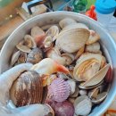 유명한 칼국수 이미지