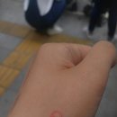 옥미아구찜 남산점 이미지