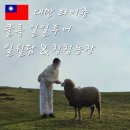 사랑농장 | 대만 타이중 여행 코스 추천 일월담 칭칭농장 클룩 일일투어 가격 일정 중국인 가이드 영어 투어...