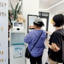 청자다방제주