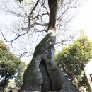 인성리-2 이미지