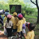 강원경찰청어린이집 이미지