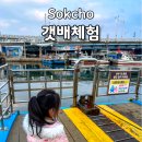 갯배2 | 속초 갯배체험 타는 곳 요금 운영시간 가까운 주차장 추천