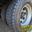 성실냉동