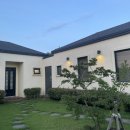 하도리 동동동 이미지