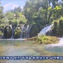 플리트 이미지