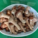 성산 농장 이미지