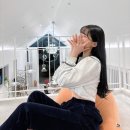 온화한가(온송) 이미지