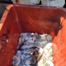 라암도해상공원 이미지