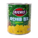리치스 이미지