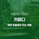 차를 좋아하는 사람들 | [내돈내산] 과천 카페디: 오솔길과 다도실이 있는 온실 카페. 메뉴와 가격, 솔직 후기.