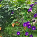 건국여성경로당 이미지