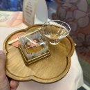 부산 커피쇼☕ &amp; 부산국제식품대전🥘, 새로살구 팝업부스 후기