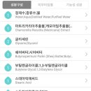 베럴댄유