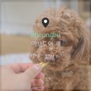 아무도없개 이미지