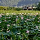 삼지연못 이미지