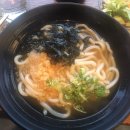 오늘의 맛집 하양 손시스시(손시다이닝)