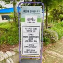 서패동 돌곶이꽃마을 정류장 이미지