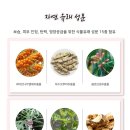 비비비원 이미지
