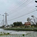 표선면하천리화석박물관 4 | [세계술박물관] 비오는날 부모님모시고 가기좋은🍸 제주도 실내관광지🍷