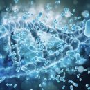 비경휘트니스 이미지