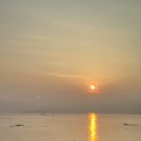 플로라모텔 이미지