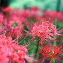 가오근린공원 이미지